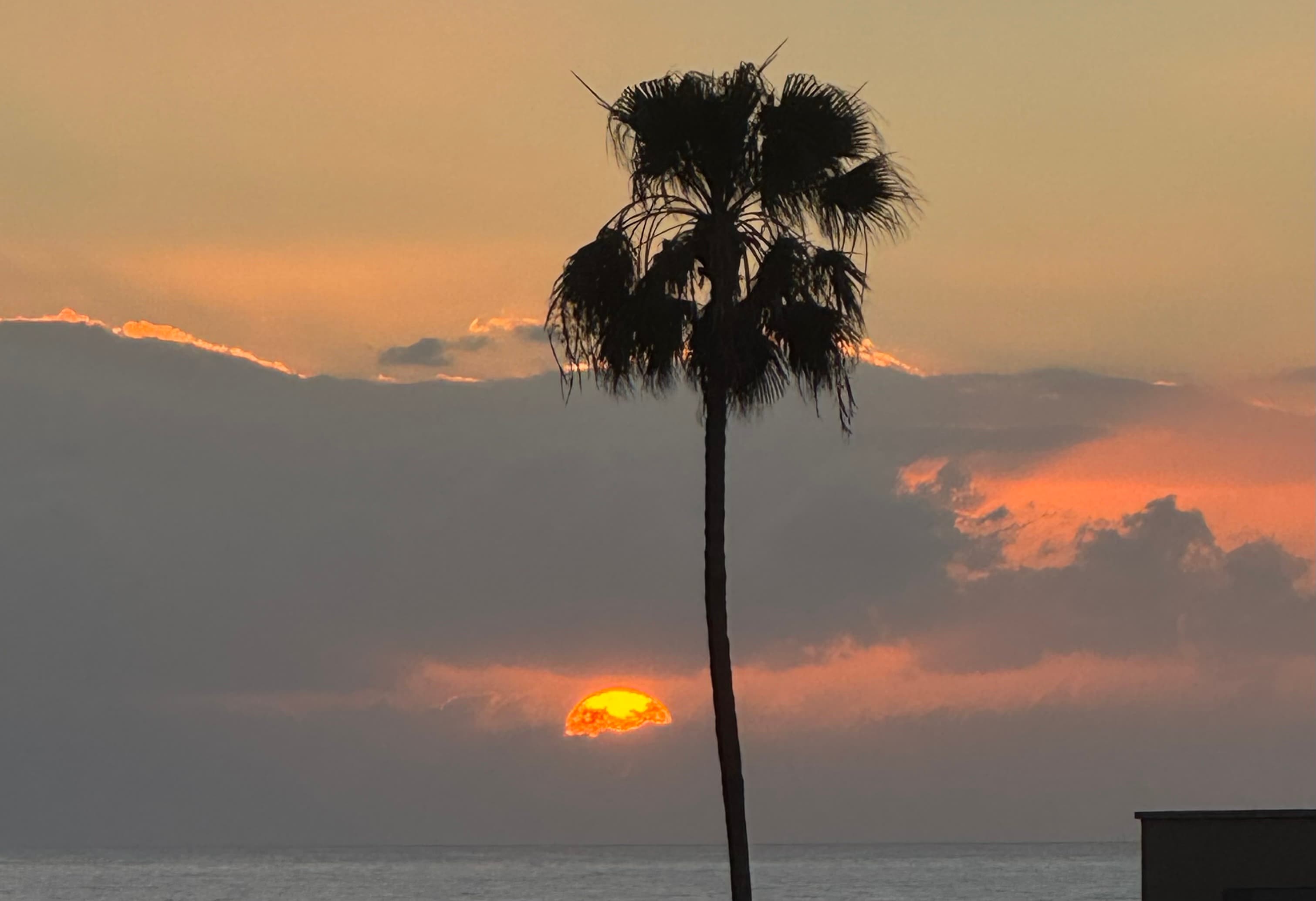 Coworking na Tenerife: práce z hostelů jako Treehouse, Digital Nomad Hostel a Nest
